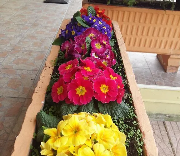 Отель Meridiana